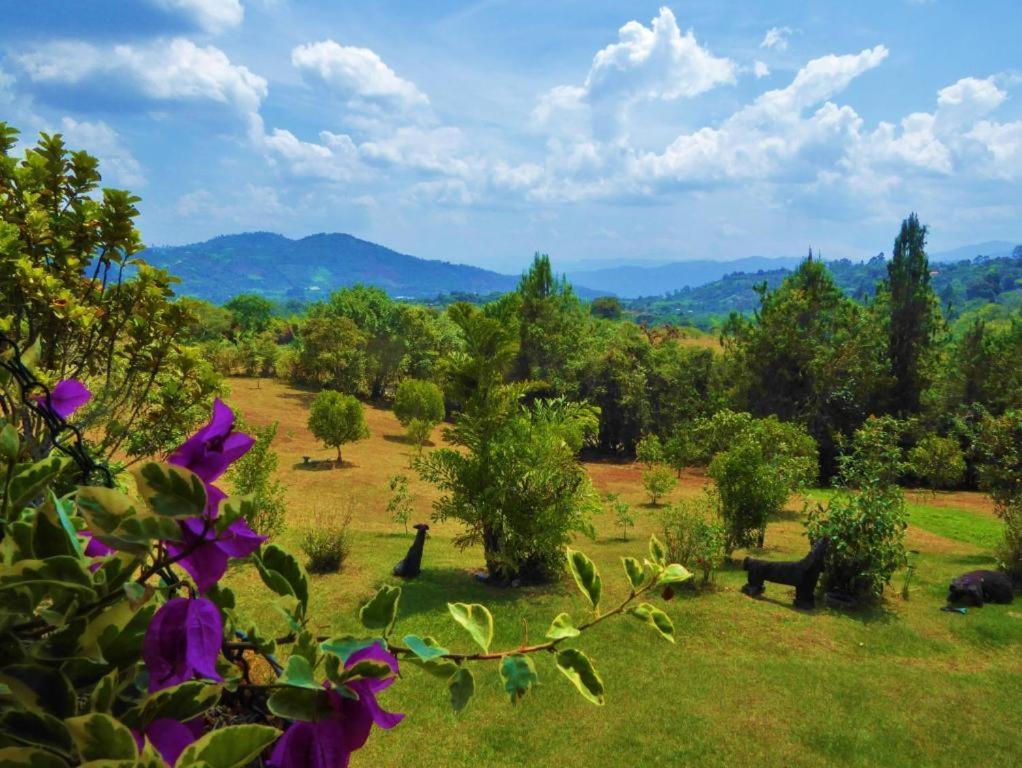 Finca El Cielo Сан-Аугустін Екстер'єр фото